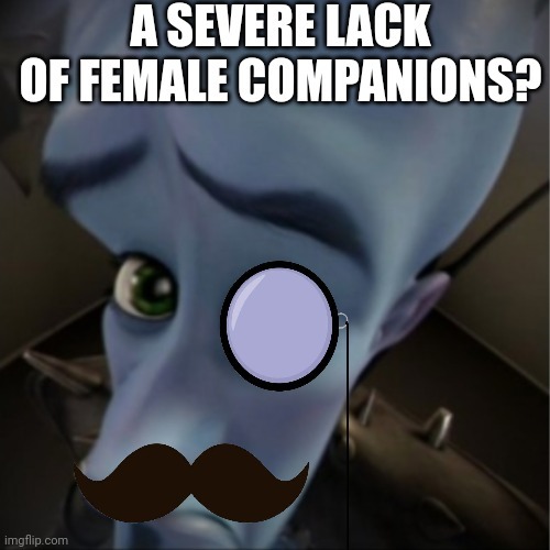 A severe lack of female companions? - meme