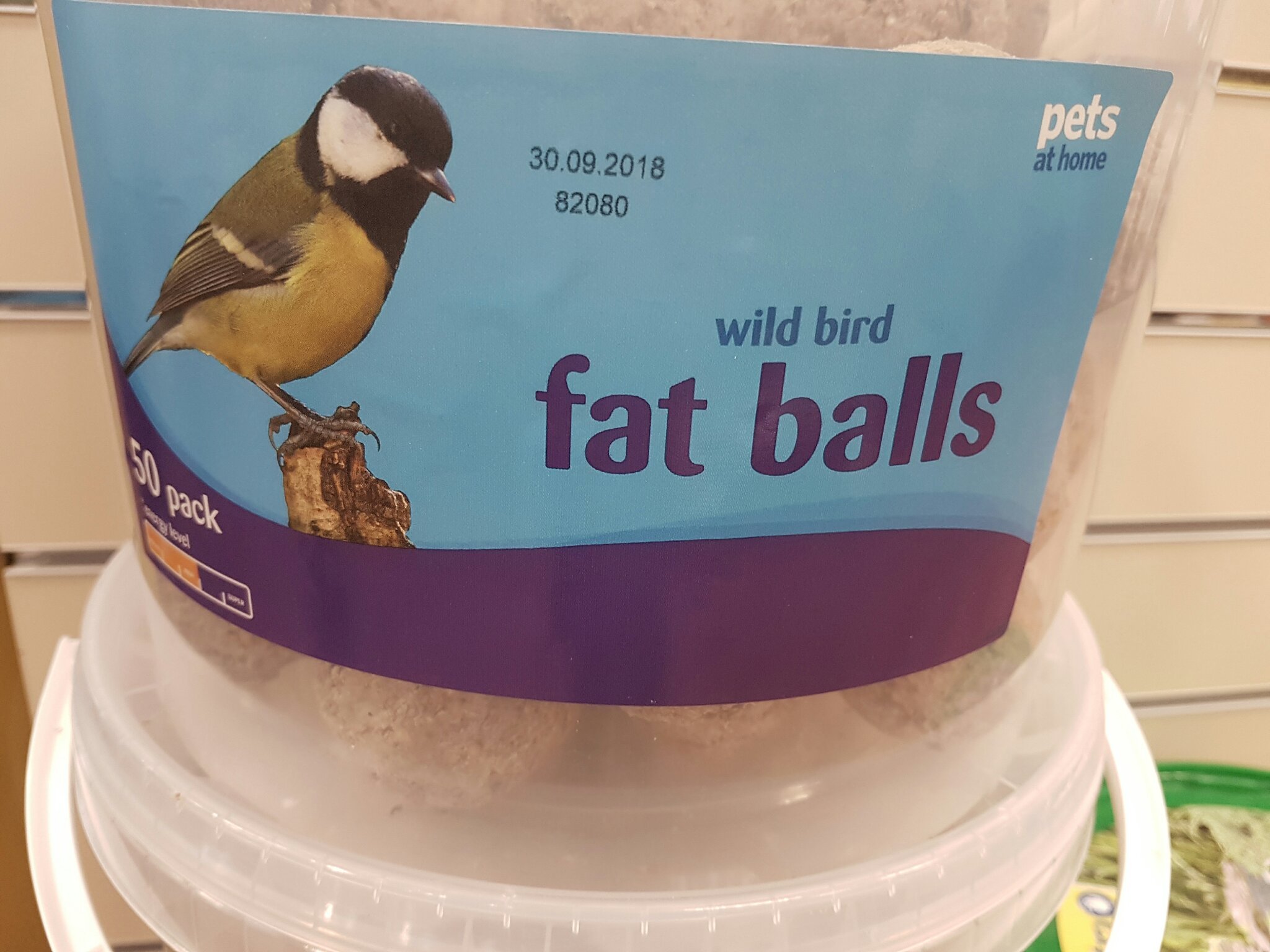 Fat bird balls - meme