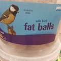 Fat bird balls