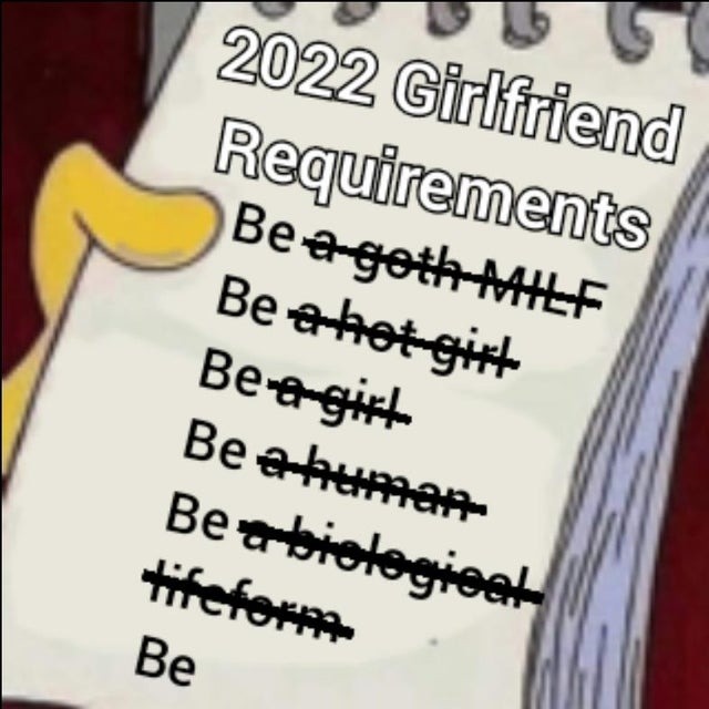 2022 girlfriend requirements - meme