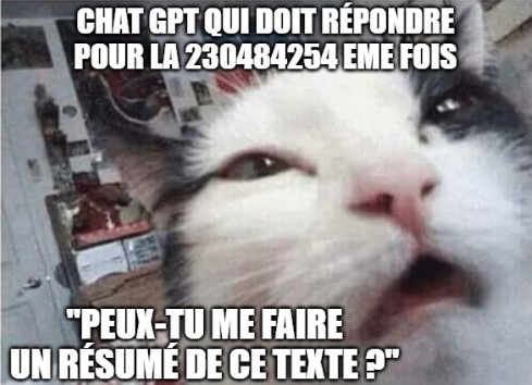 Chat GPT1Plomb - meme