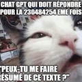 Chat GPT1Plomb