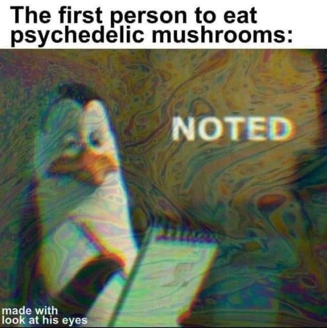 Noted. - meme