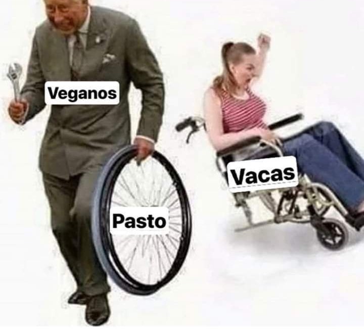 Veganosdroid - meme