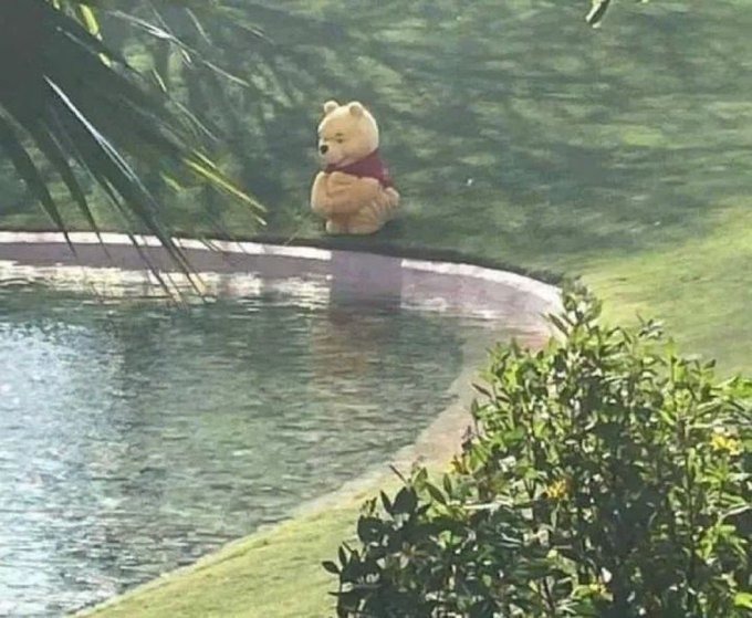 Plantilla de memes de Winnie de pooh todo jodido