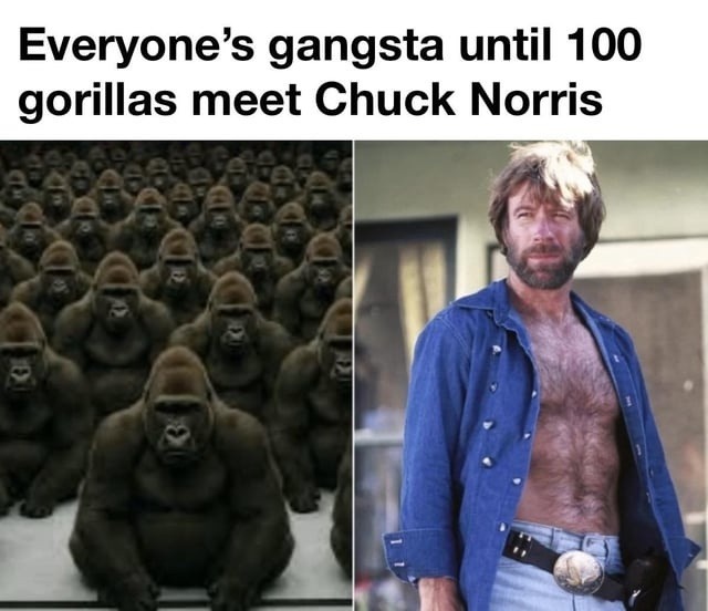 Gorillas ain't ready for Chuck Norris energy - meme