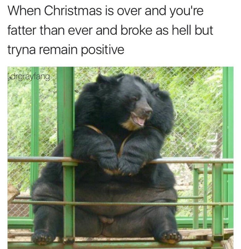 I know it's early, but Baloo has really let himself go - meme