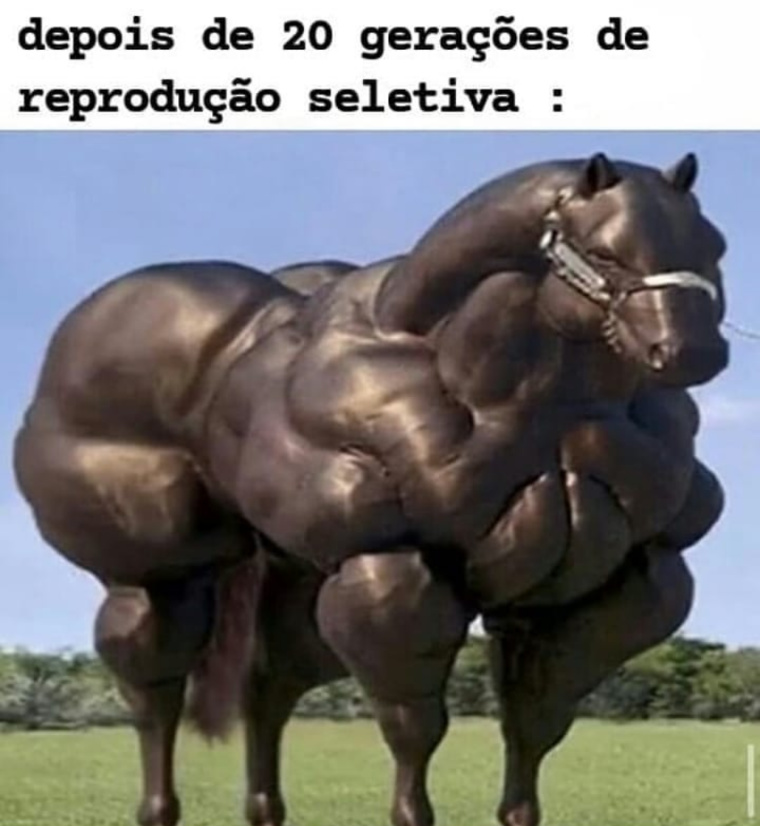 Cavalo - meme