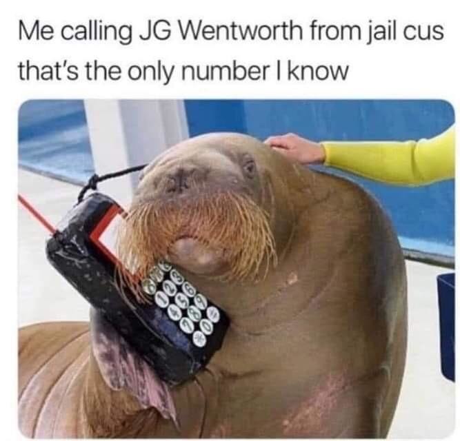 J G WENTWORTH - meme
