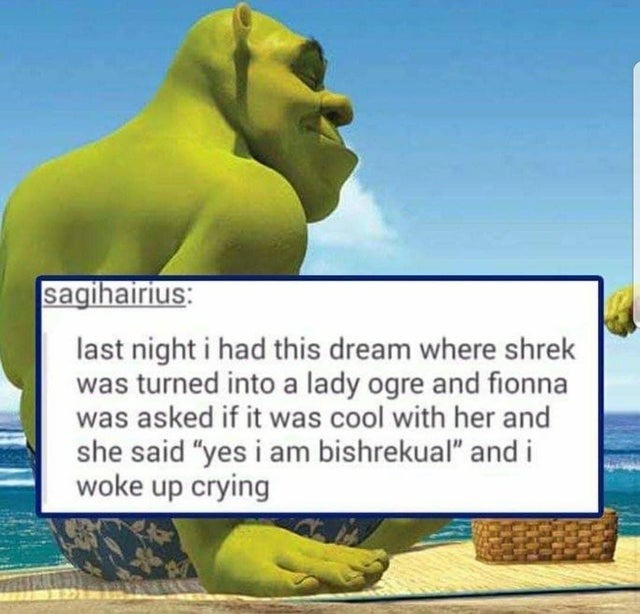 Shrek dream - meme