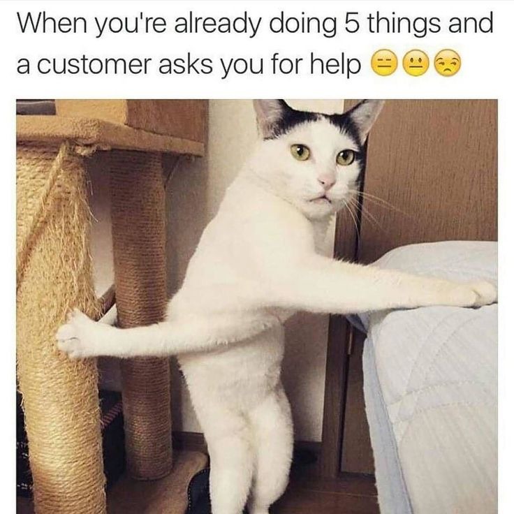 customer service - meme