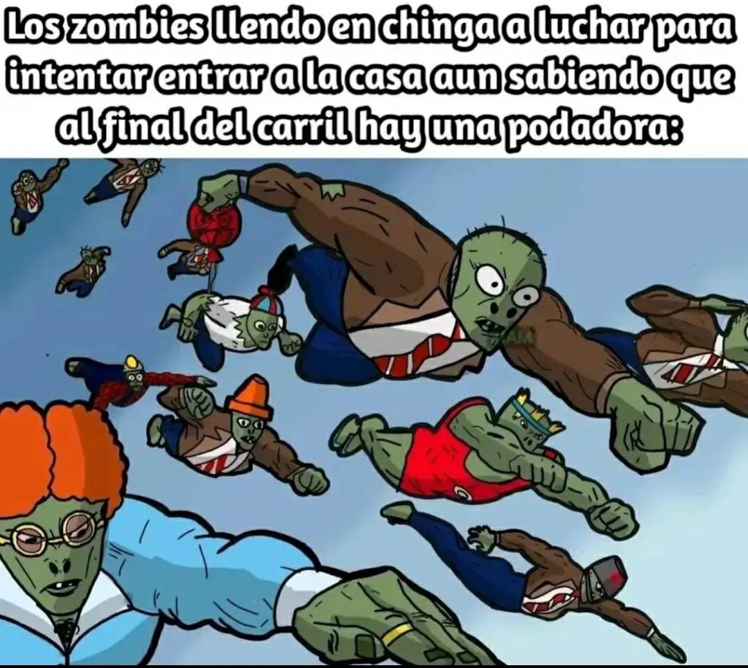 - - meme