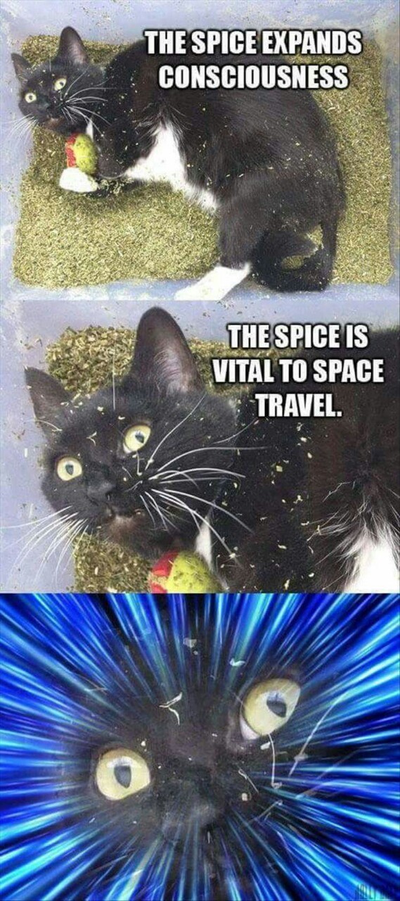 "Spices" - meme
