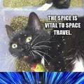 "Spices"