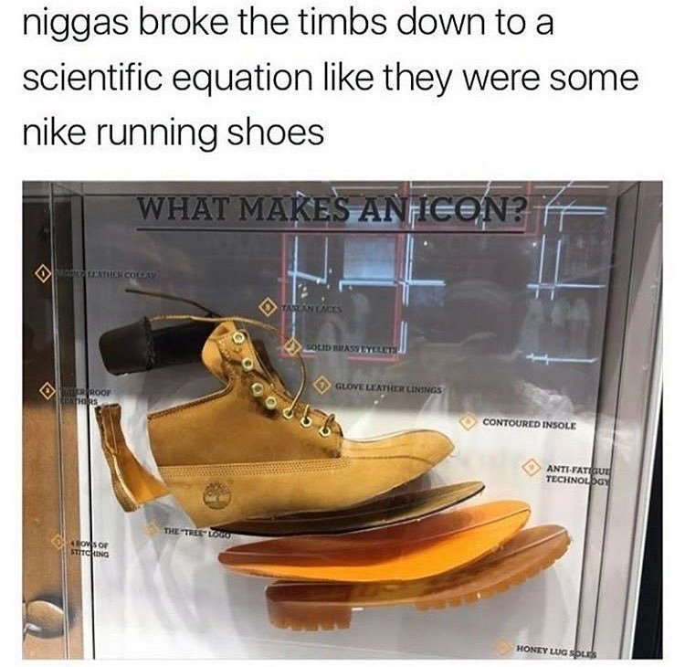 Shoe science - meme
