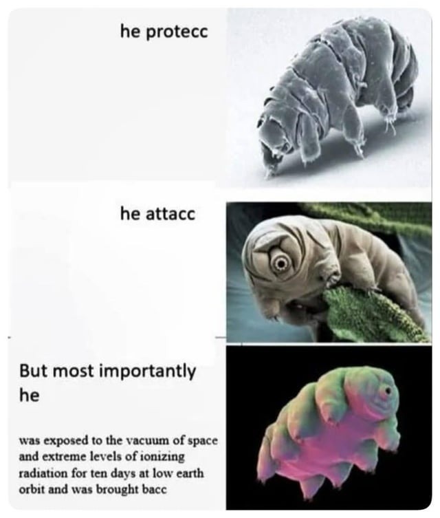 He protecc, he attacc, but mostly he survived a space death simulator - meme
