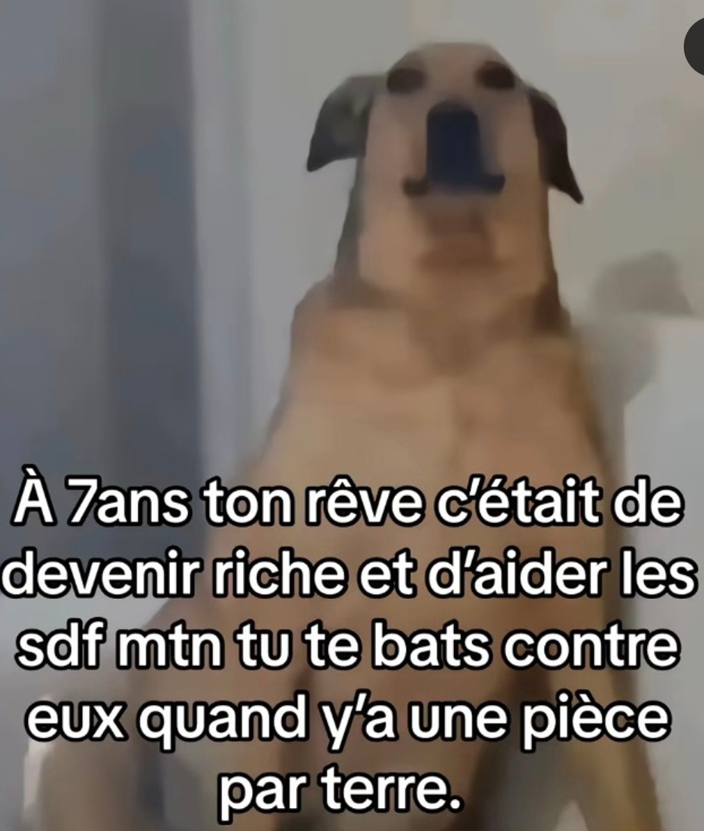 Tu voulais aider les SDF, maintenant tu les bouscules pour une pièce - meme