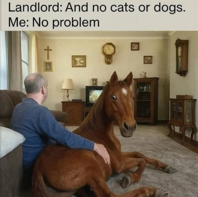 Landlord said no pets, not no demons - meme