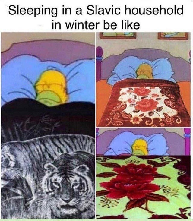 Sleeping in a Slavic household in winter be like - meme