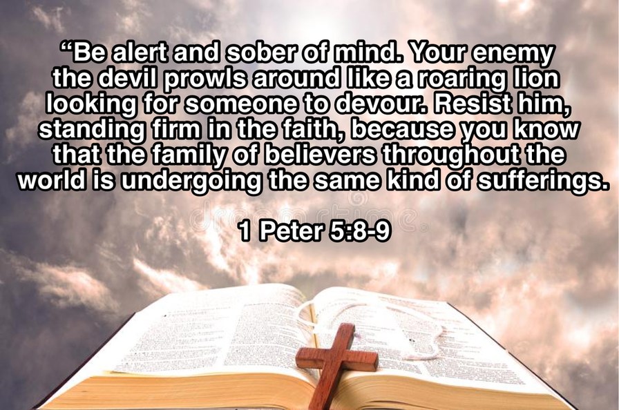 1 Peter 5:8-9 - meme