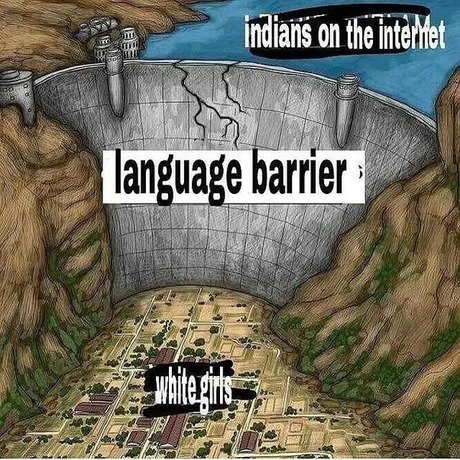 Indians on the internet meme