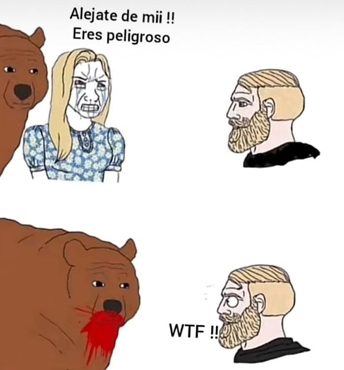 ni idea de porque las mujeres escogen al oso - meme