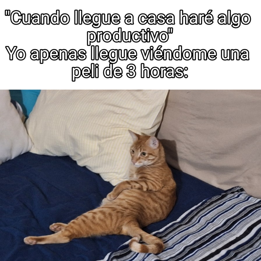 Tenía que usar esta foto que le saqué a mi gato para un meme :lol:.