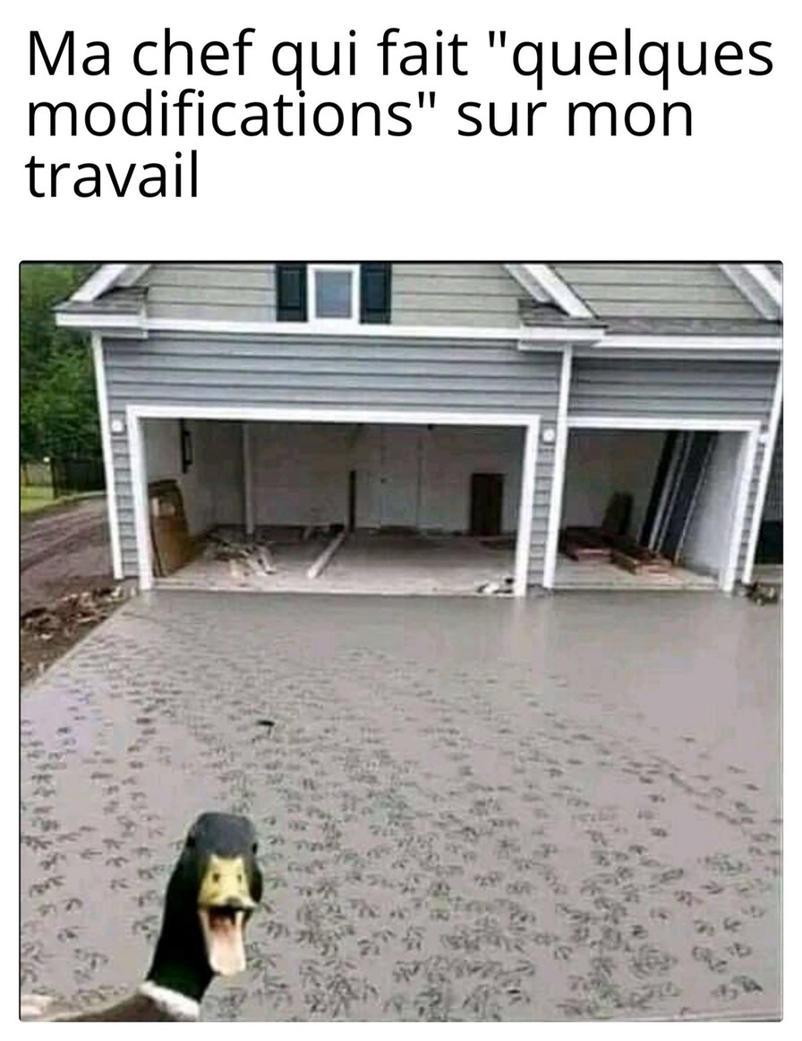 Ça ne te dérange pas si je... ? (flingue tout ce que t'as fait sous tes yeux) - meme