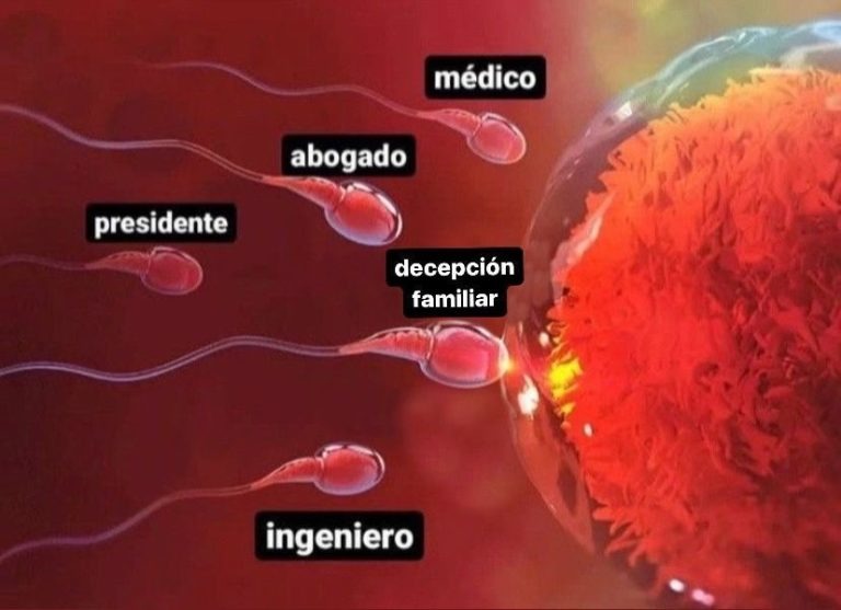 mi mejor foto - meme