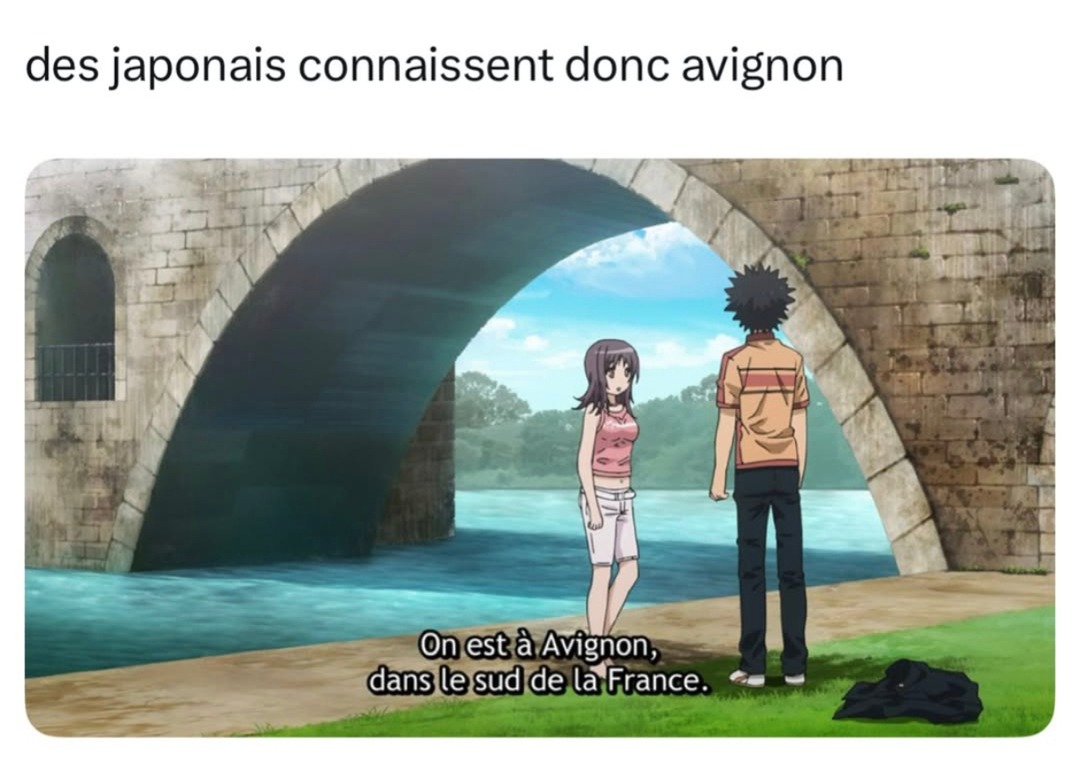 Des Japonais qui connaissent Avignon... on a percé - meme
