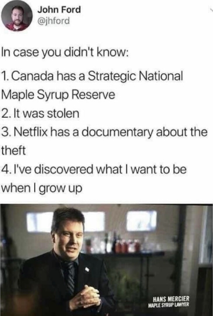 Canada really had a maple syrup vault heist and Netflix said run it - meme