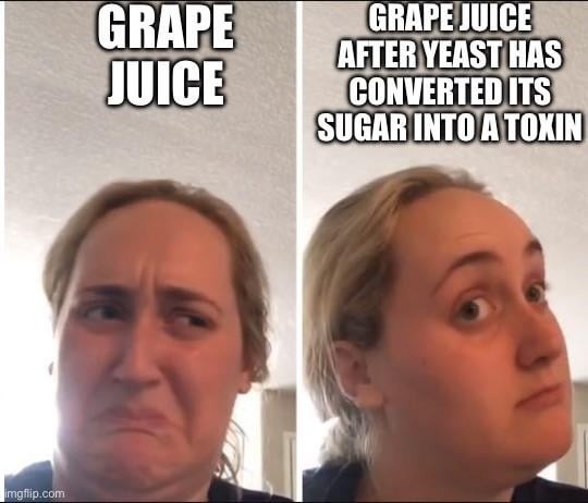 Grapes: just juice till yeast turns it into fun juice - meme