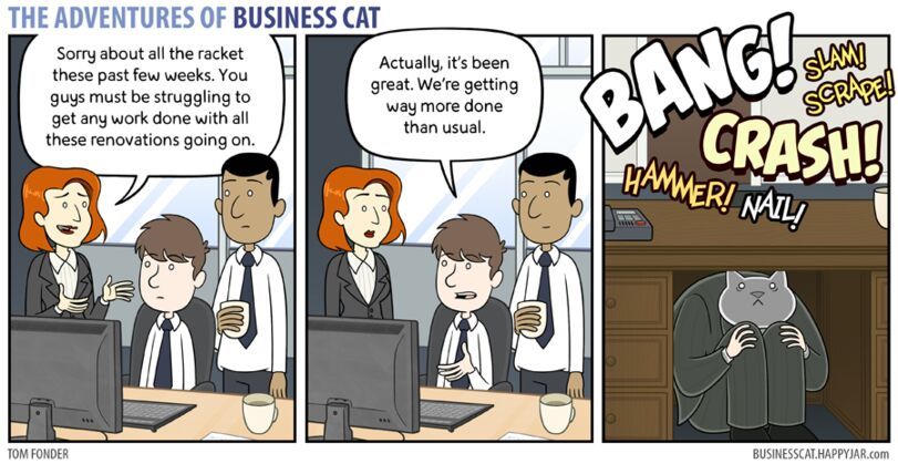 how to tame the business cat - meme
