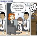 how to tame the business cat