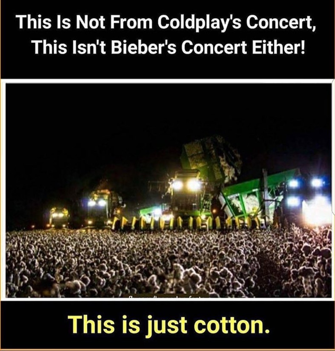 Just cotton. - meme