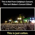 Just cotton.