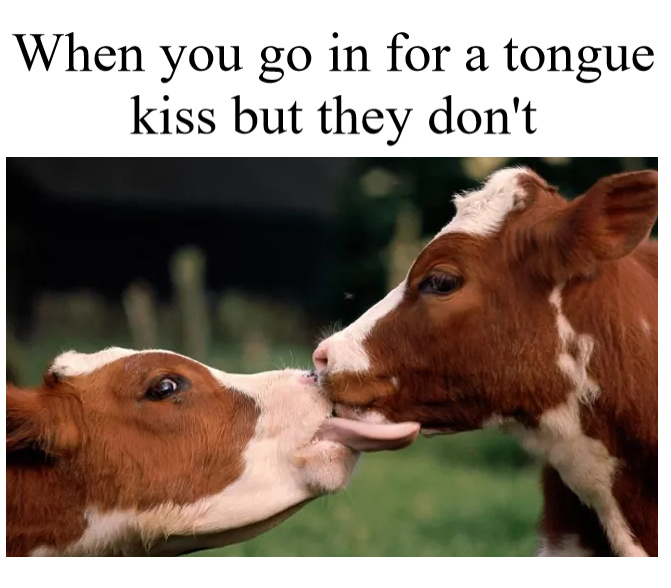 Too much tongue - meme