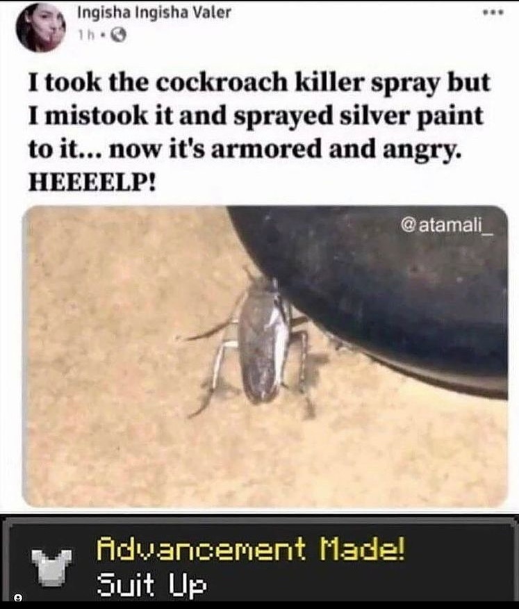 armored cockroach - meme