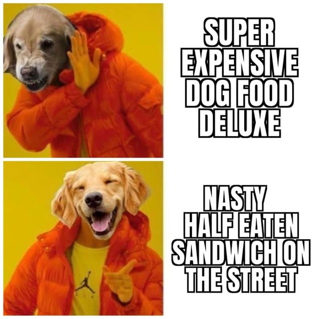 Doggos be like - meme