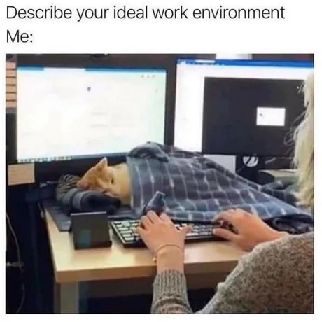Not my ideal work environment but kindda funny - meme