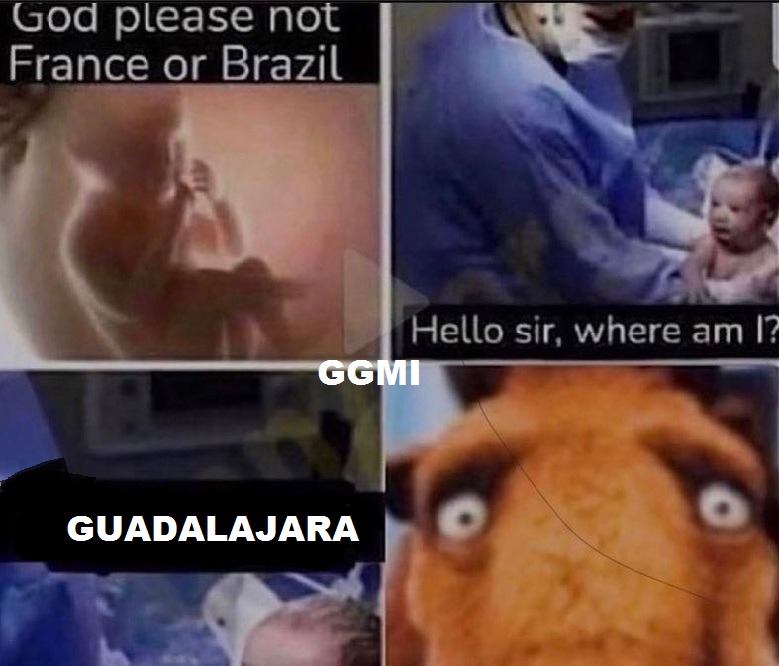 guadalajara is gay - meme
