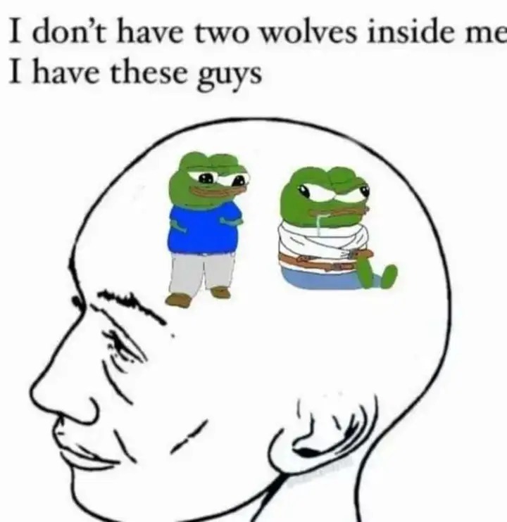 No wolfs just frogs - meme