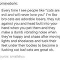 Cats are awesome