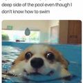 Me still not no to swim tho