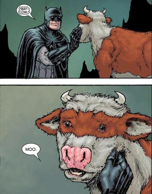 bat cow - meme