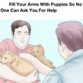 Puppies are priority