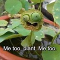 This plant