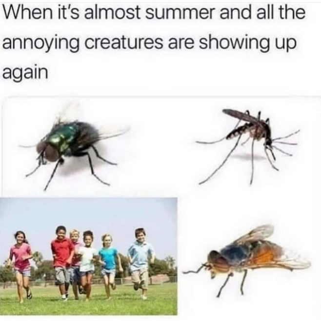 Can't relate more - meme