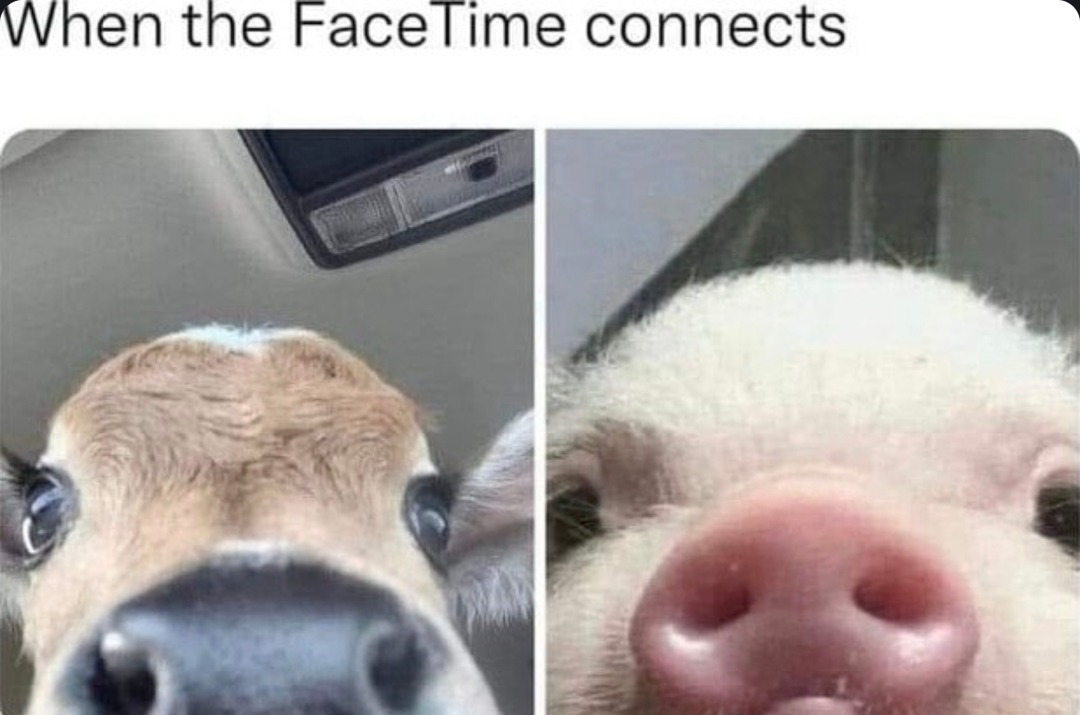 That cursed frame when FaceTime finally connects - meme