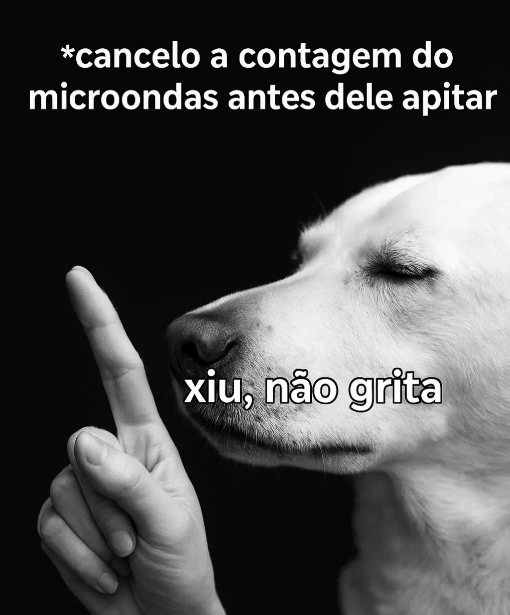 Quietinho. - meme